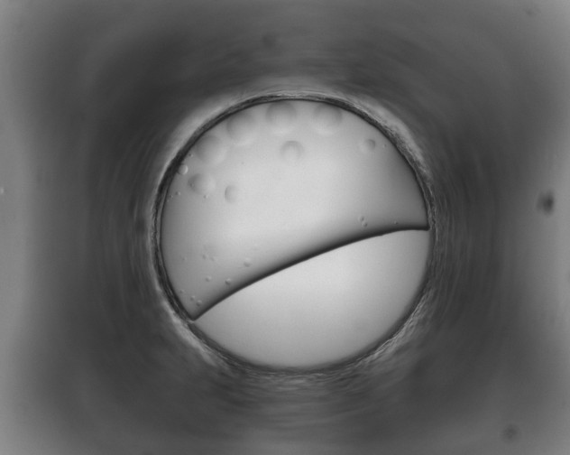X0000100411231200806060918