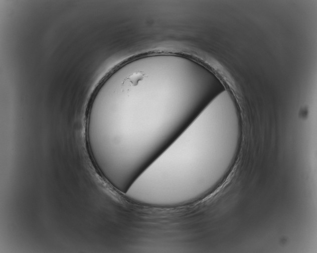 X0000100411232200806060918