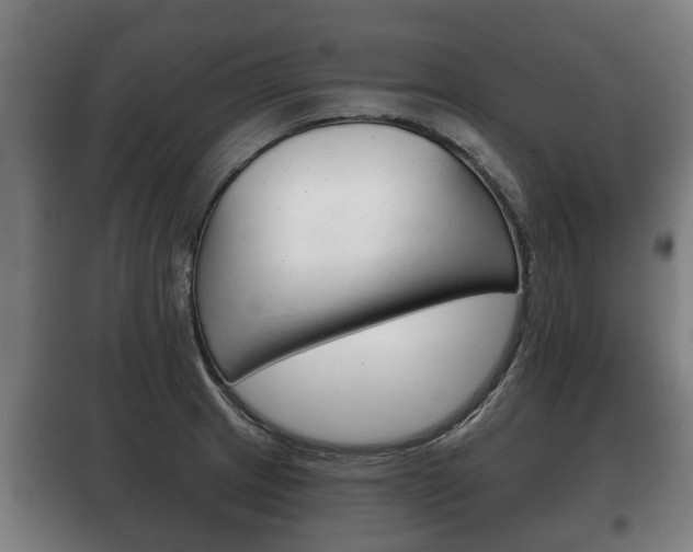 X0000100411233200806060918