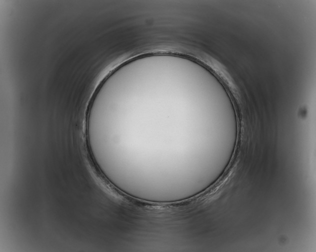 X0000100411234200806060918