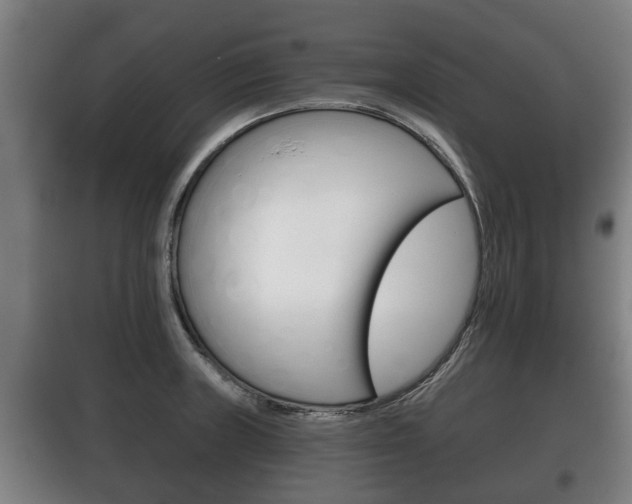 X0000100411235200806060918