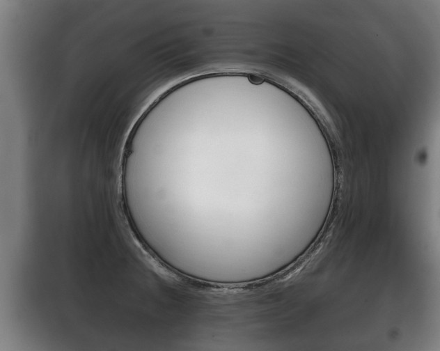 X0000100411236200806060918