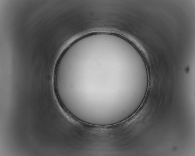 X0000100411237200806060918