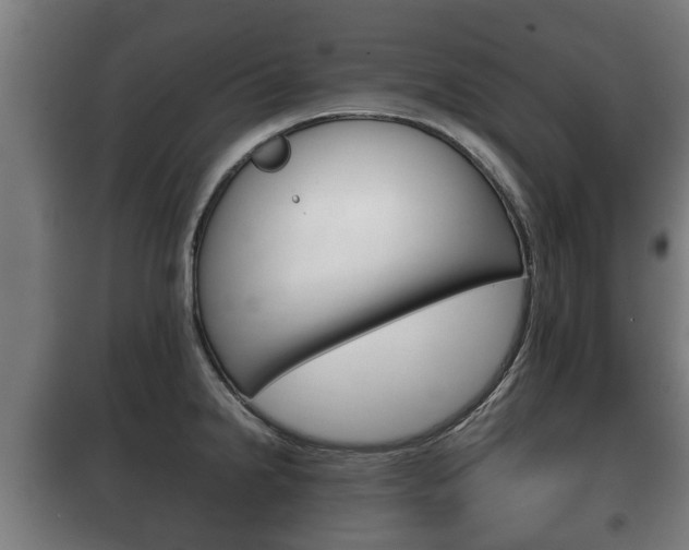 X0000100411238200806060918