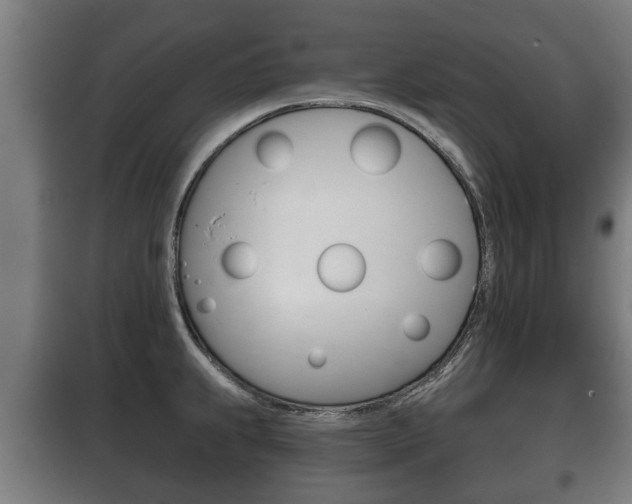 X0000100411239200806060918