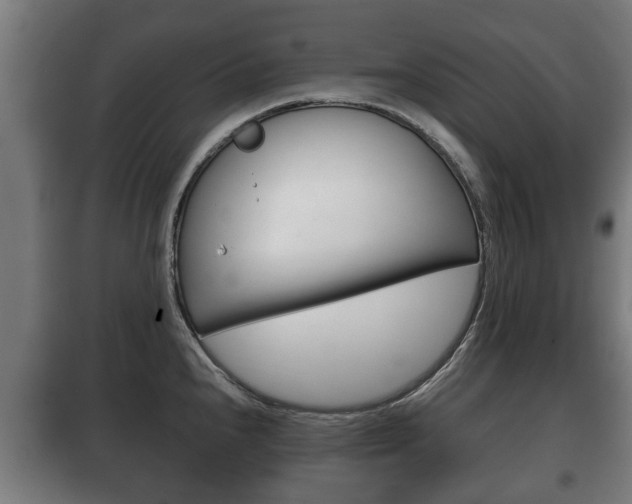 X0000100411240200806060918