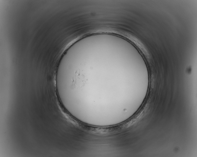 X0000100411241200806060918