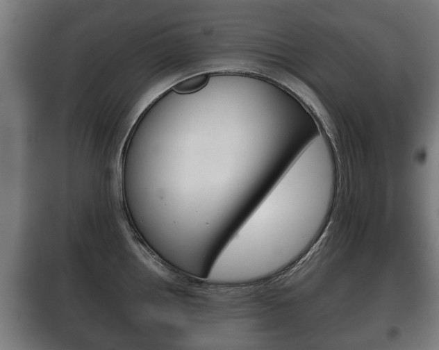 X0000100411242200806060918