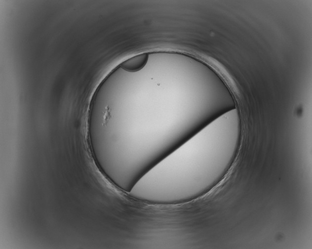 X0000100411244200806060918