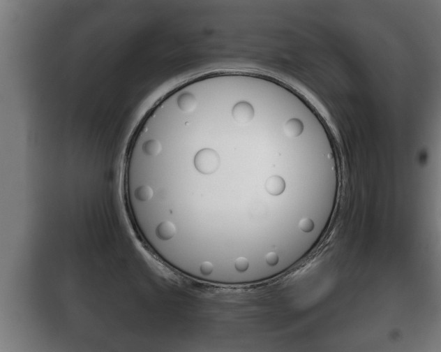 X0000100411245200806060918