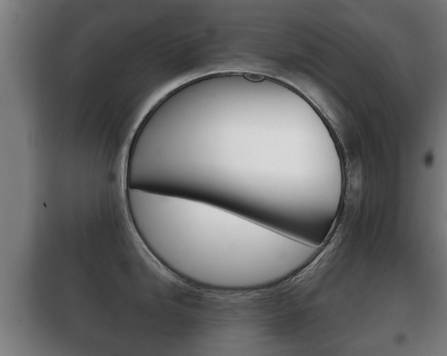 X0000100411246200806060918