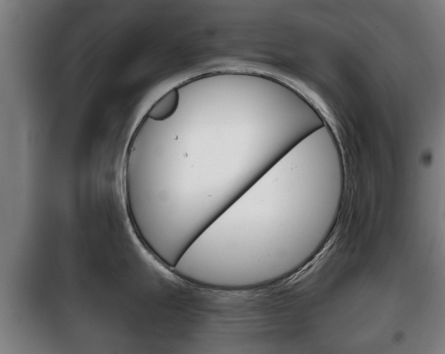 X0000100411247200806060918
