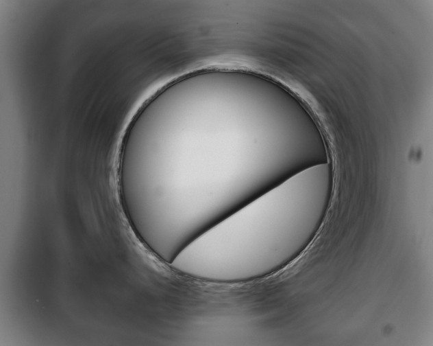 X0000100411248200806060918