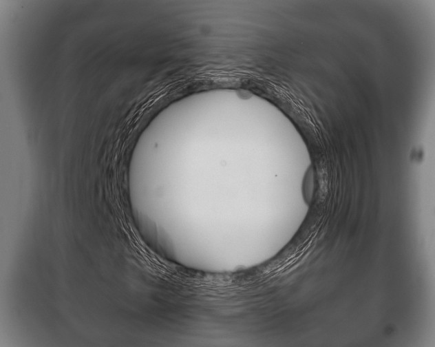 X0000100411249200806060917