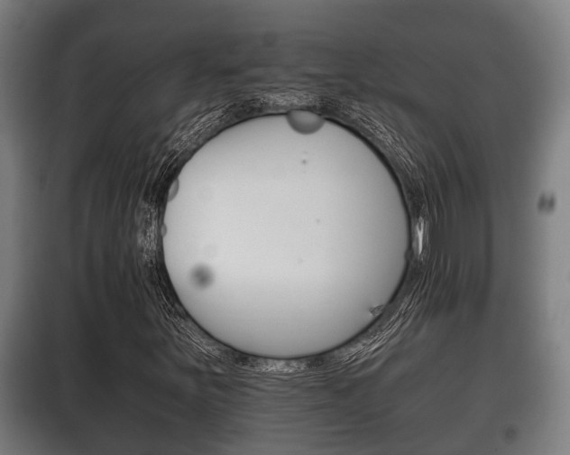 X0000100411251200806060917