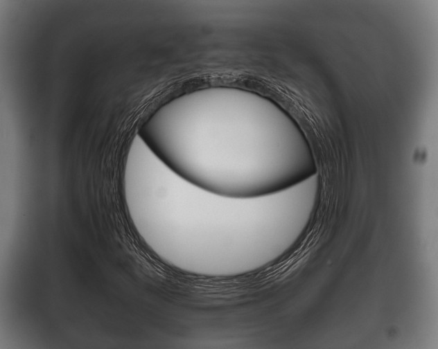 X0000100411252200806060917