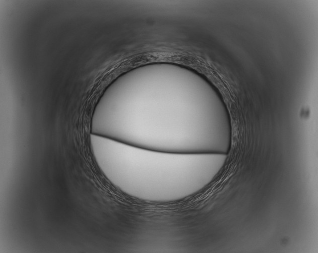 X0000100411253200806060917