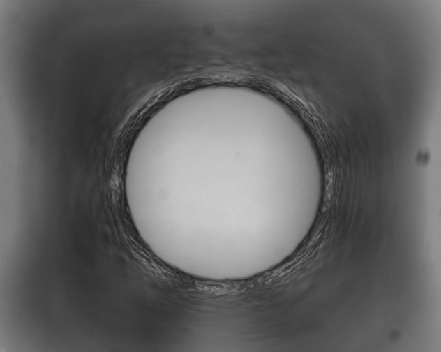 X0000100411254200806060917