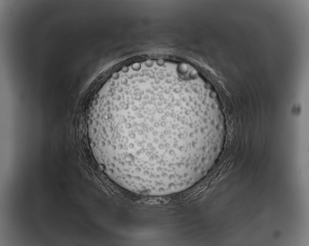 X0000100411255200806060917