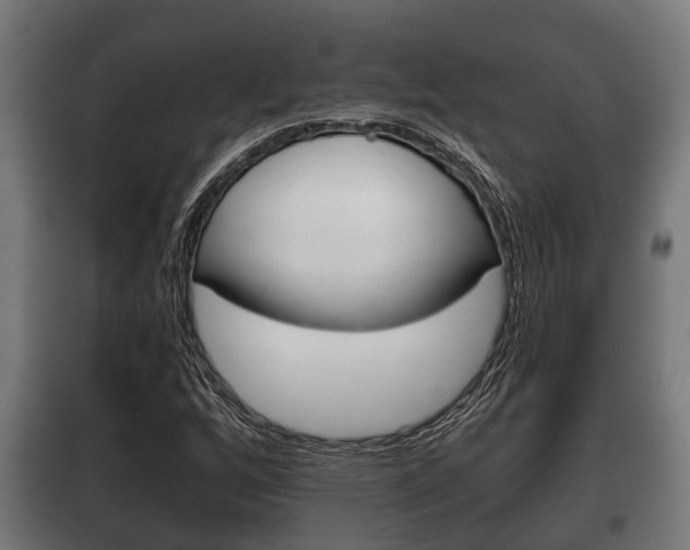 X0000100411256200806060917