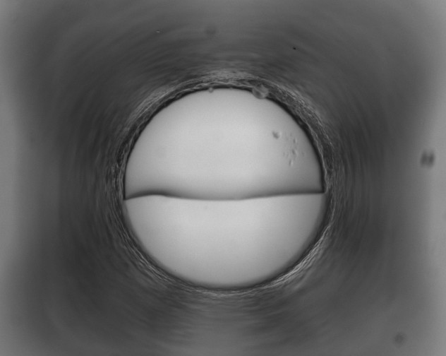 X0000100411257200806060917