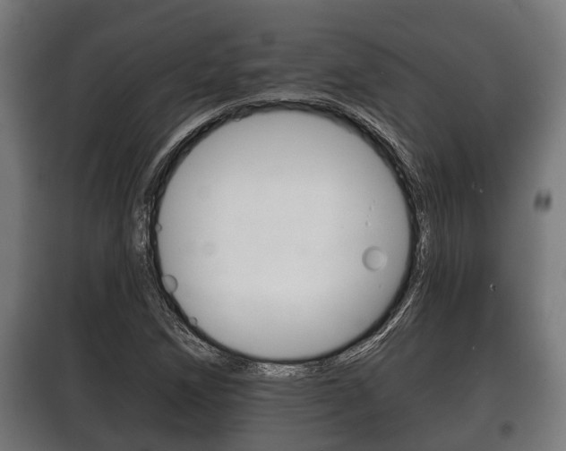 X0000100411258200806060917