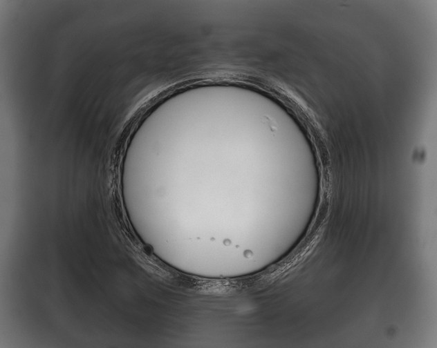 X0000100411259200806060917