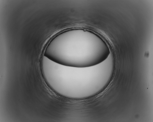 X0000100411260200806060917