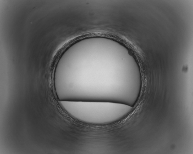 X0000100411262200806060917