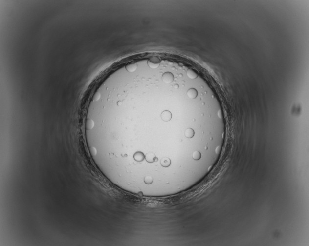 X0000100411263200806060917