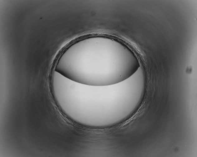 X0000100411264200806060917