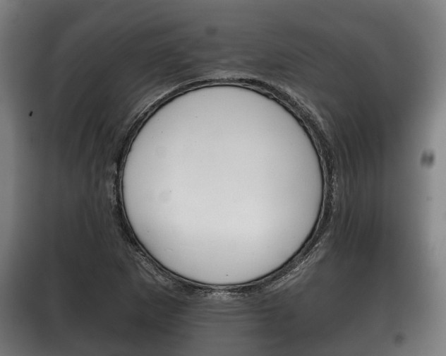 X0000100411265200806060917