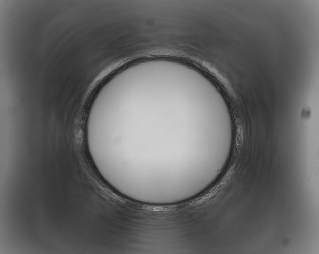 X0000100411266200806060917