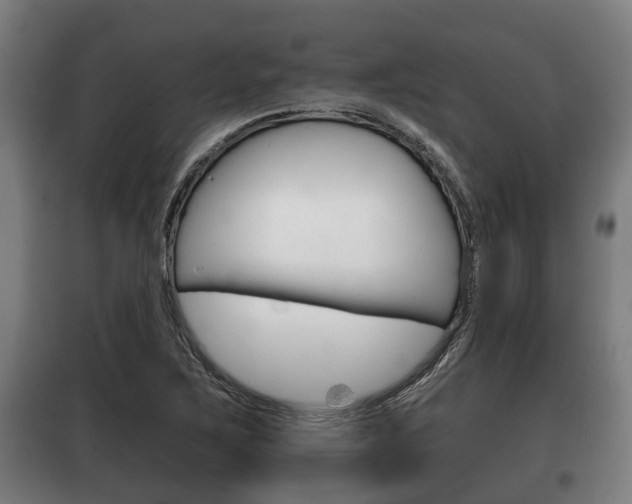 X0000100411267200806060917