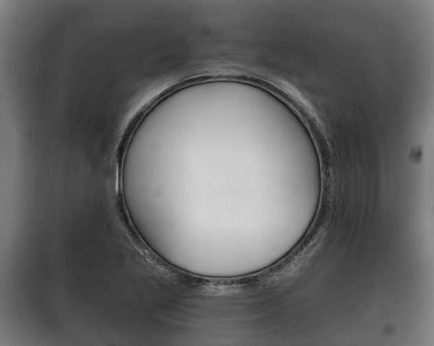 X0000100411269200806060917