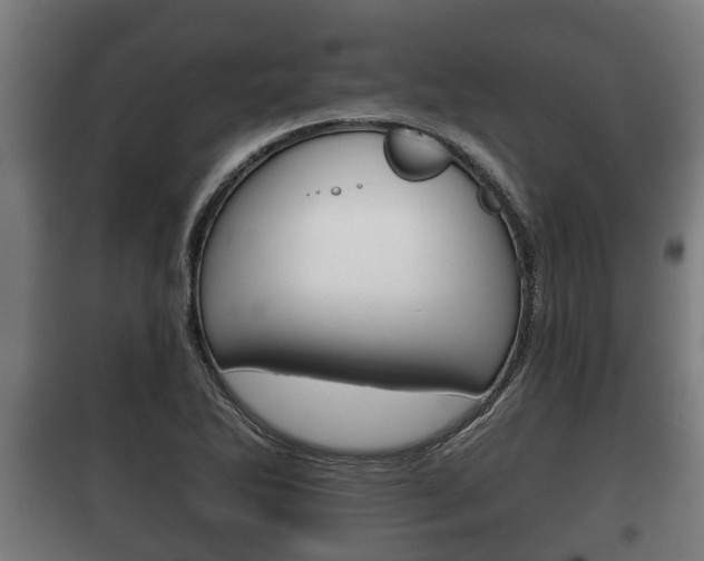 X0000100411270200806060917