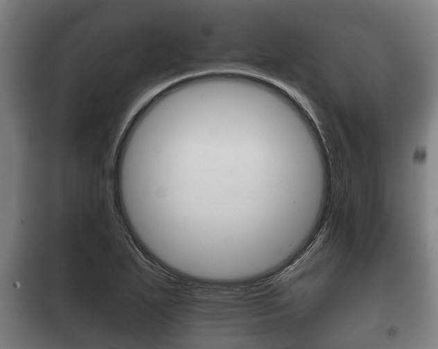 X0000100411271200806060917