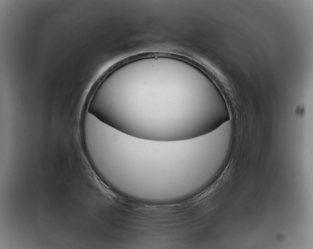 X0000100411272200806060917