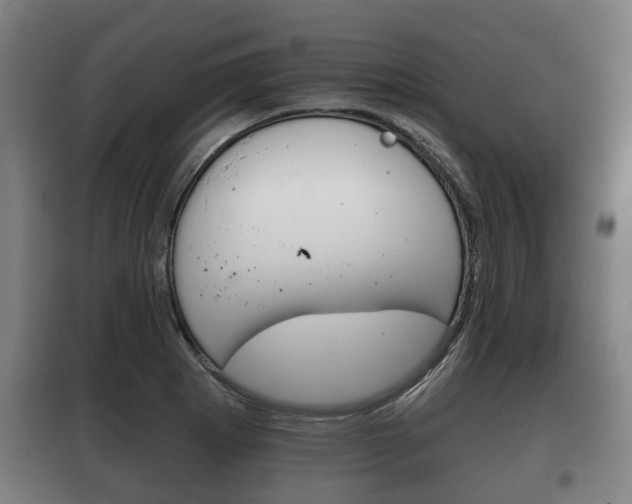 X0000100411273200806060917