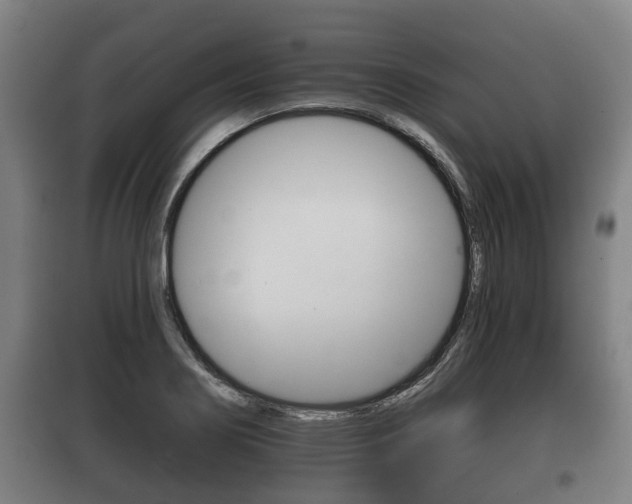 X0000100411274200806060917