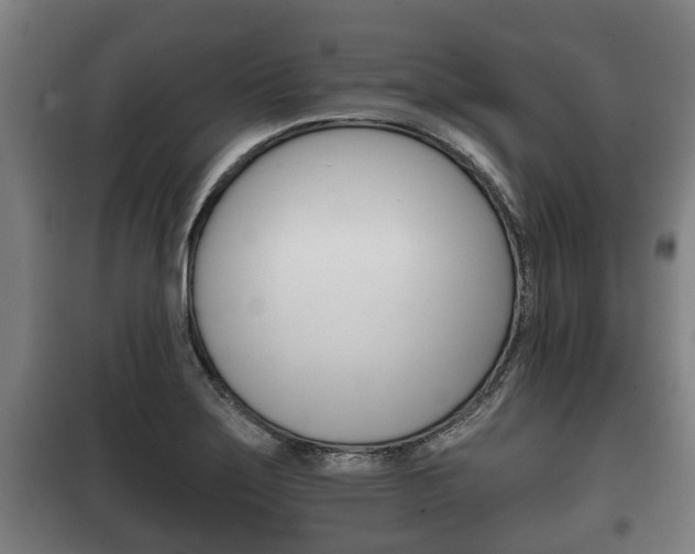 X0000100411275200806060917