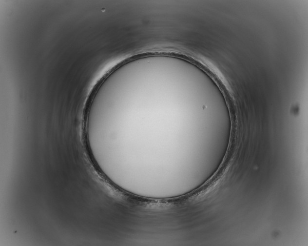 X0000100411277200806060917