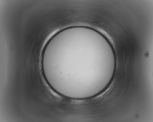 X0000100411278200806060917
