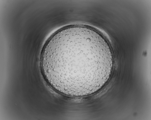 X0000100411279200806060917