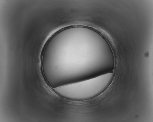X0000100411280200806060917
