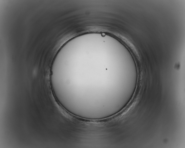 X0000100411281200806060917