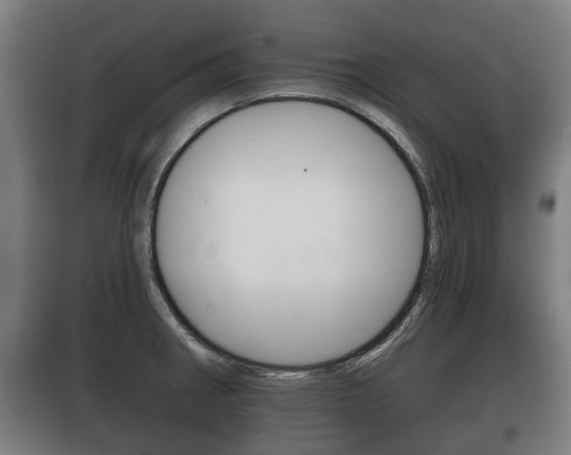 X0000100411282200806060917