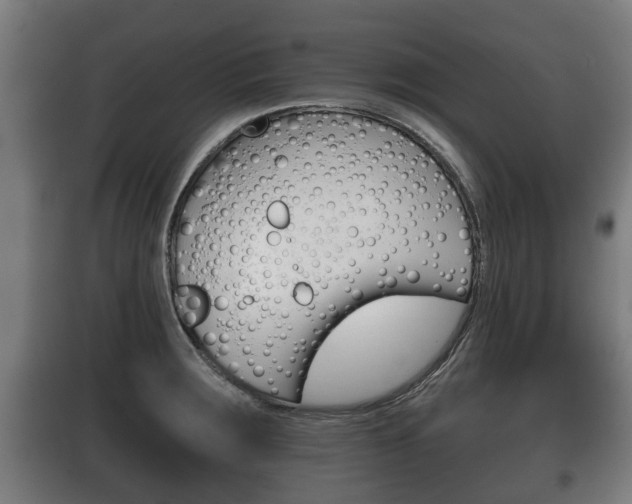 X0000100411283200806060917