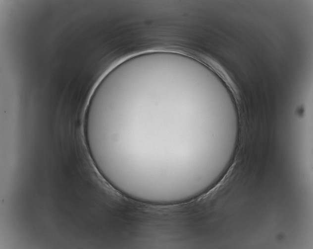 X0000100411284200806060917