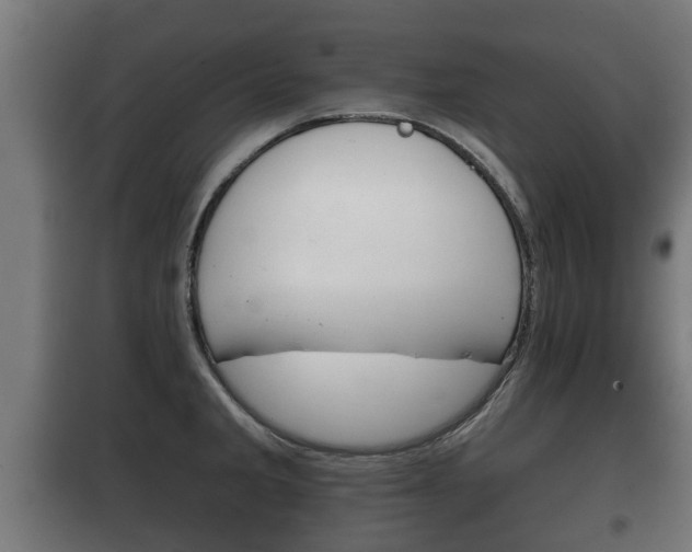 X0000100411285200806060917